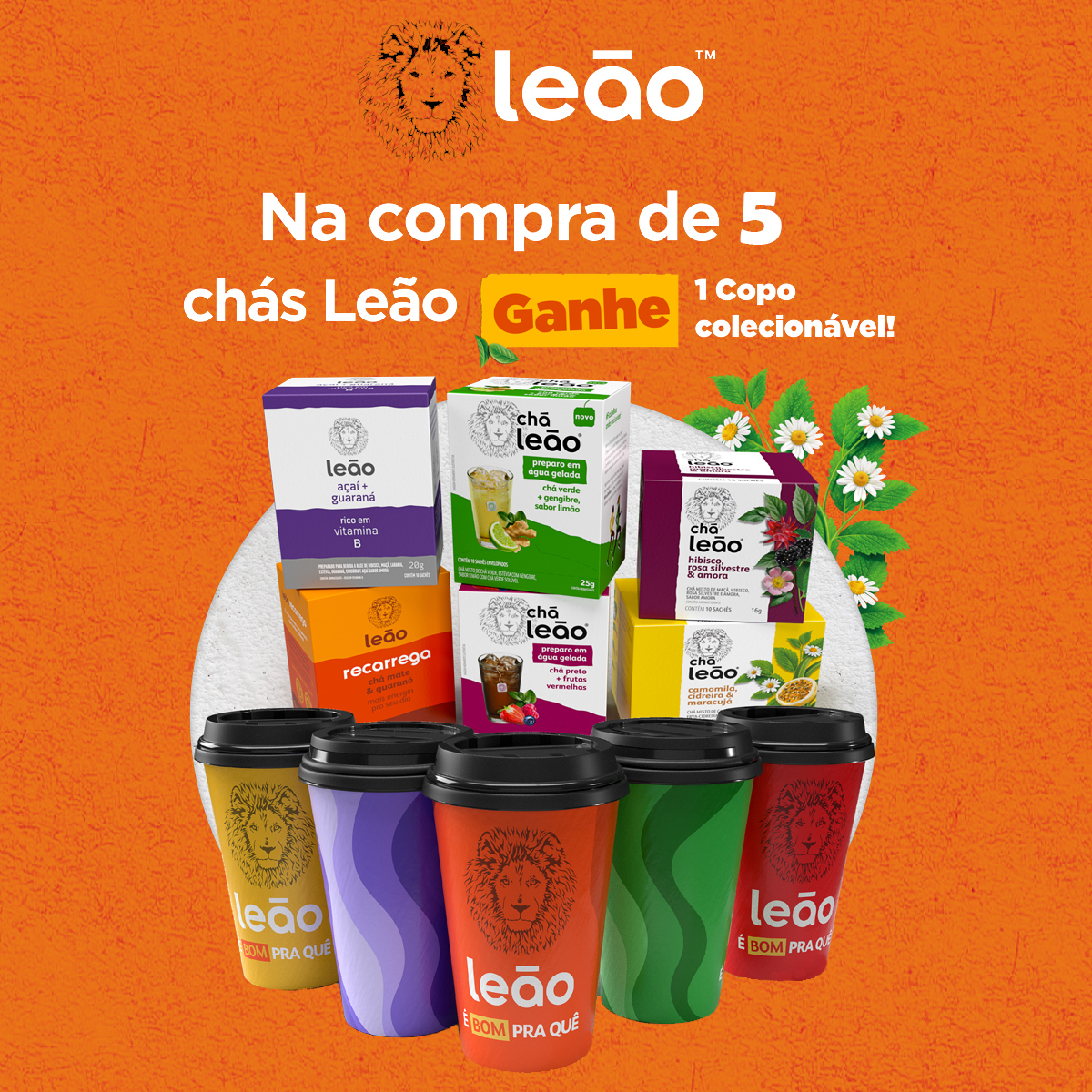 como preparar cha leao agua gelada