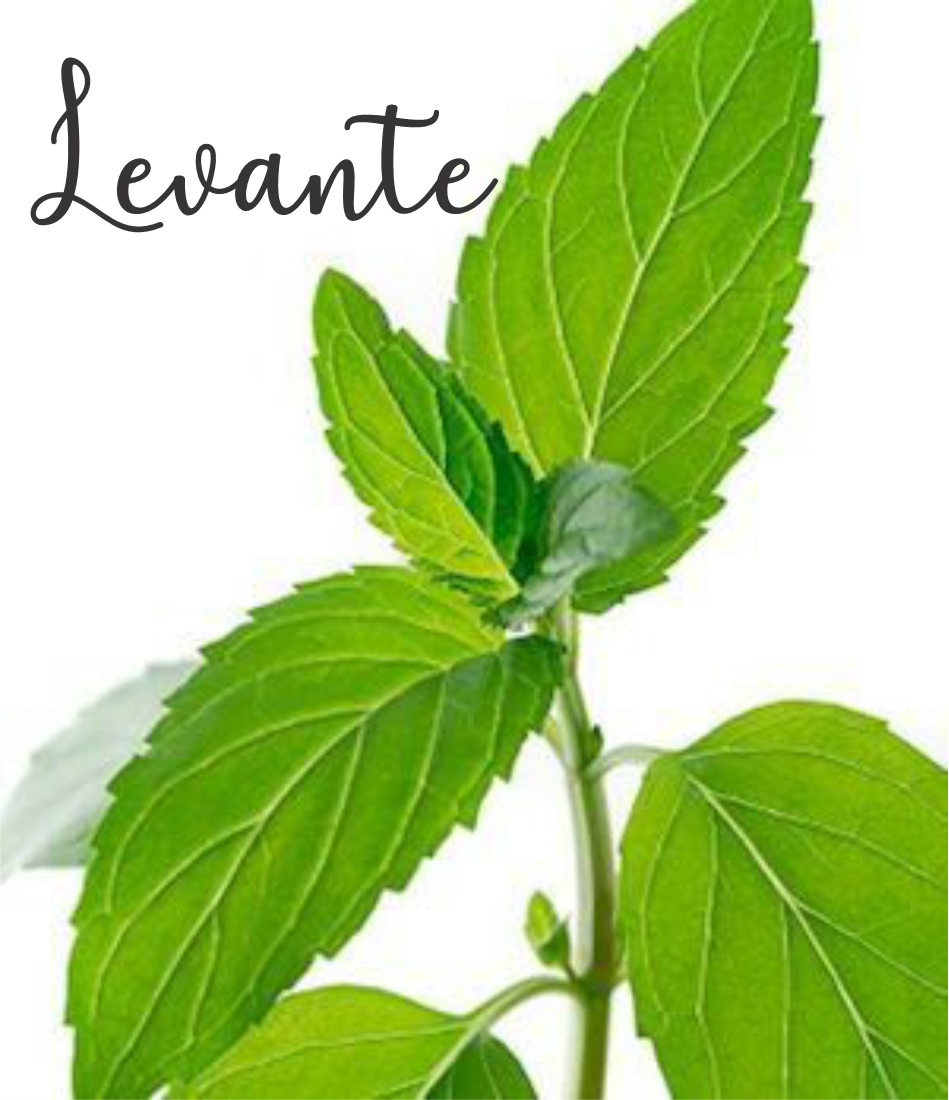 levante umbanda