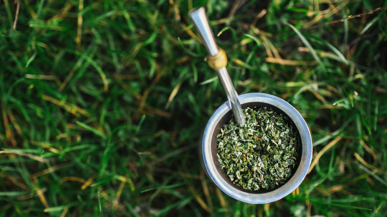 chá mate e diabetes