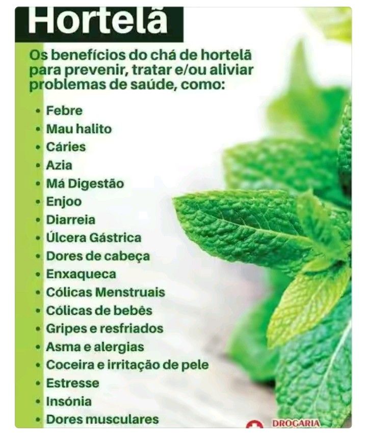 chá de hortelã para cólica menstrual