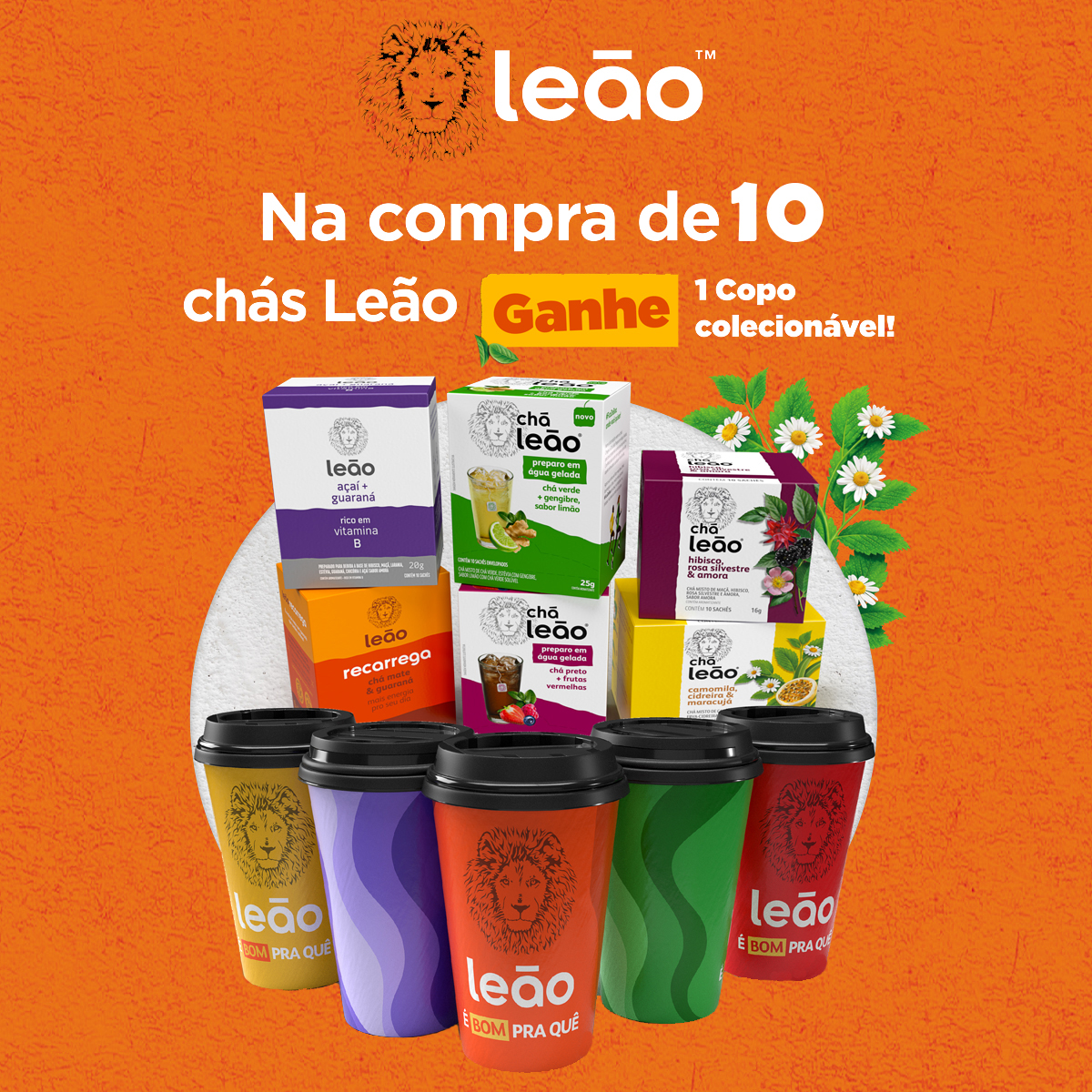 chá preto Leão digestão