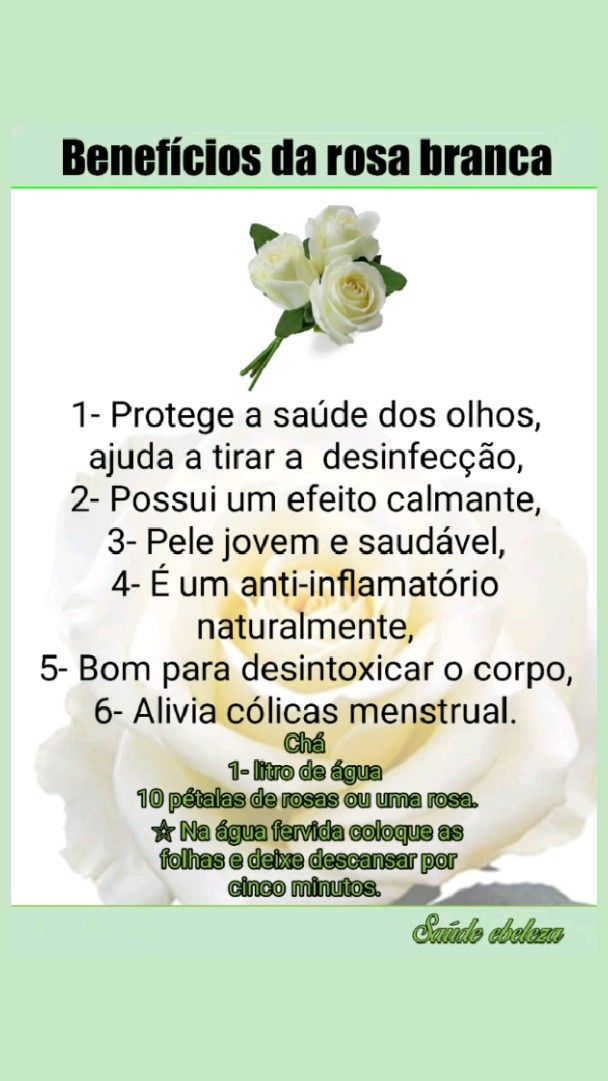 chá de rosa branca para ansiedade