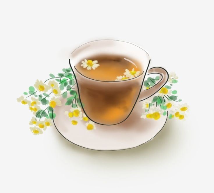 ilustração chá de hortelã png