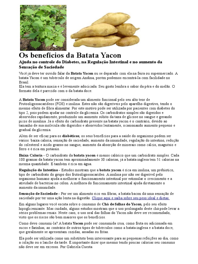 benefícios chá yacon diabetes