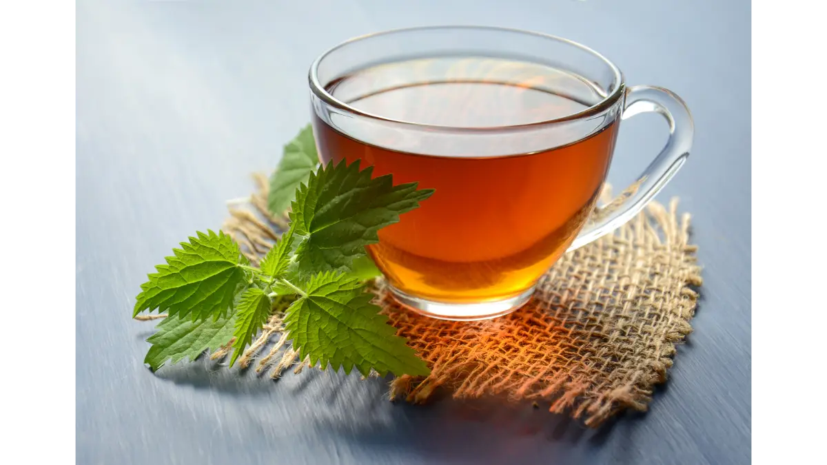 chá mate antioxidante