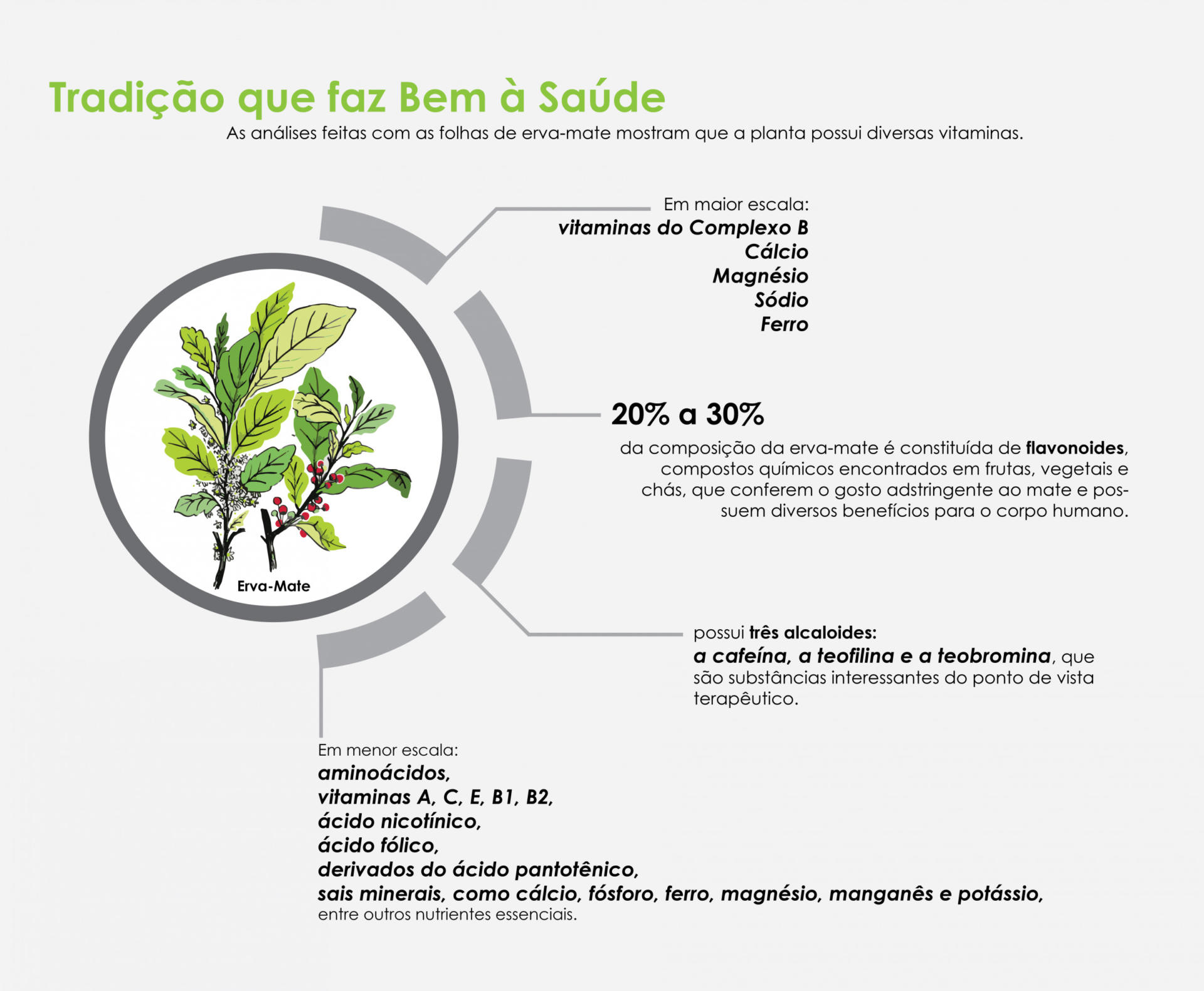 preparo chá mate