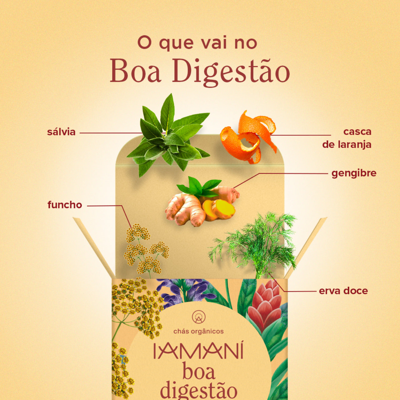 chá para gases