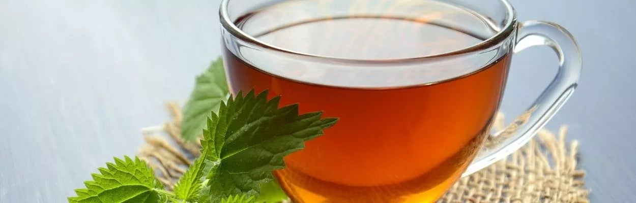 infusão para despertar