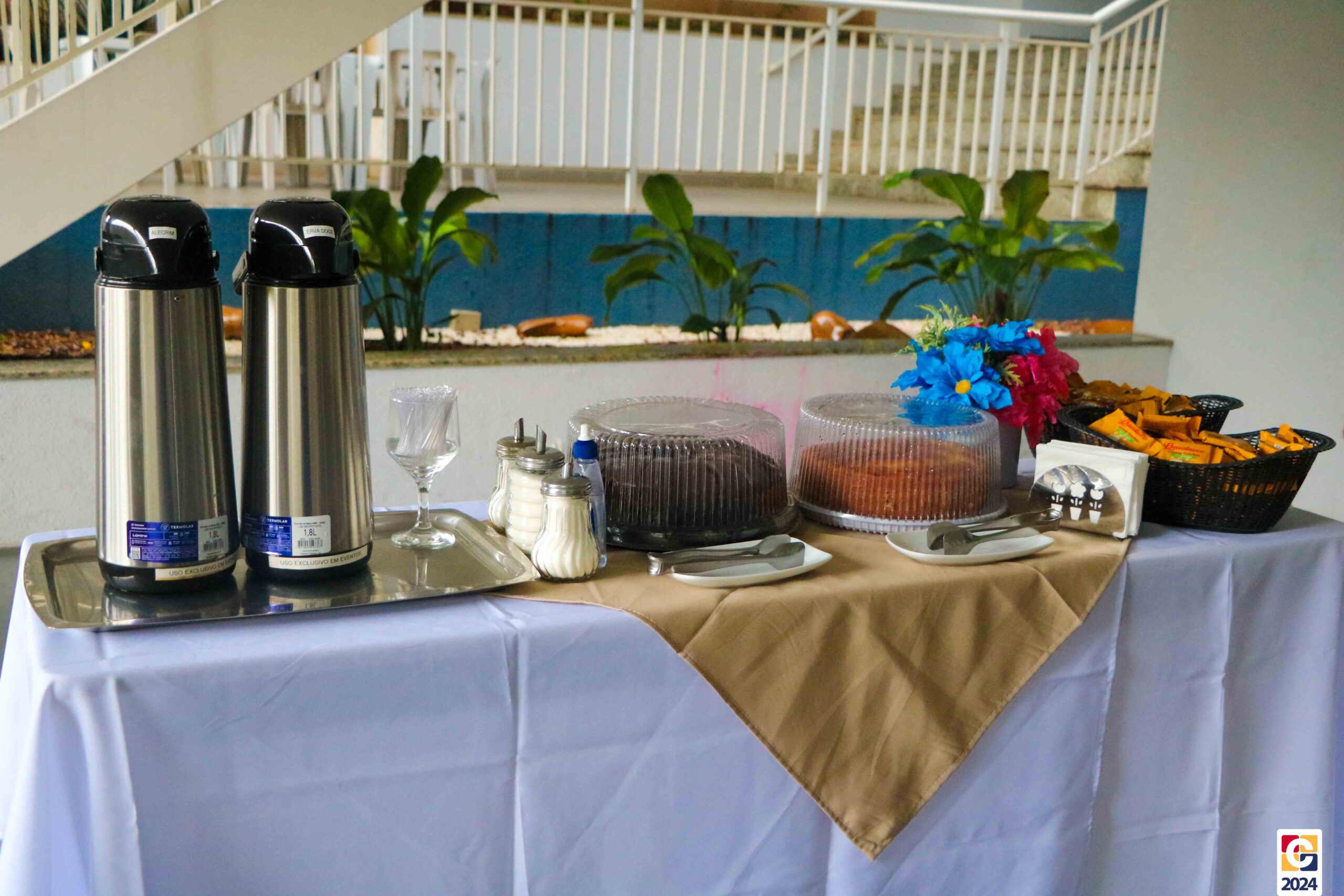 chás sem cafeína para estudar