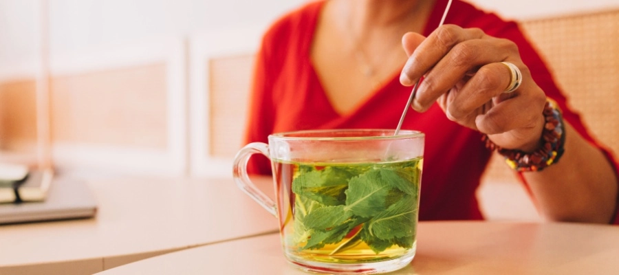 plantas medicinais para estufamento