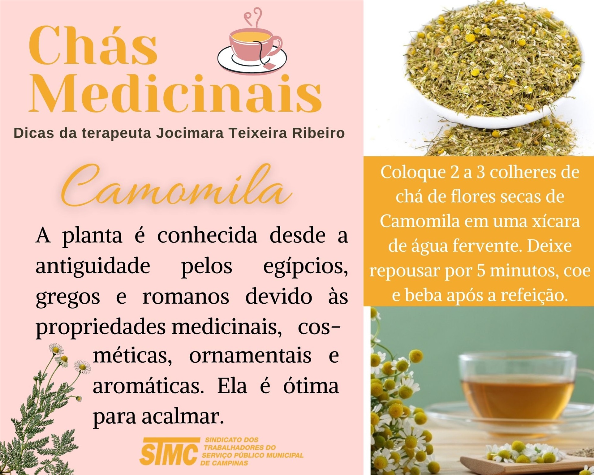 chá para dormir rápido