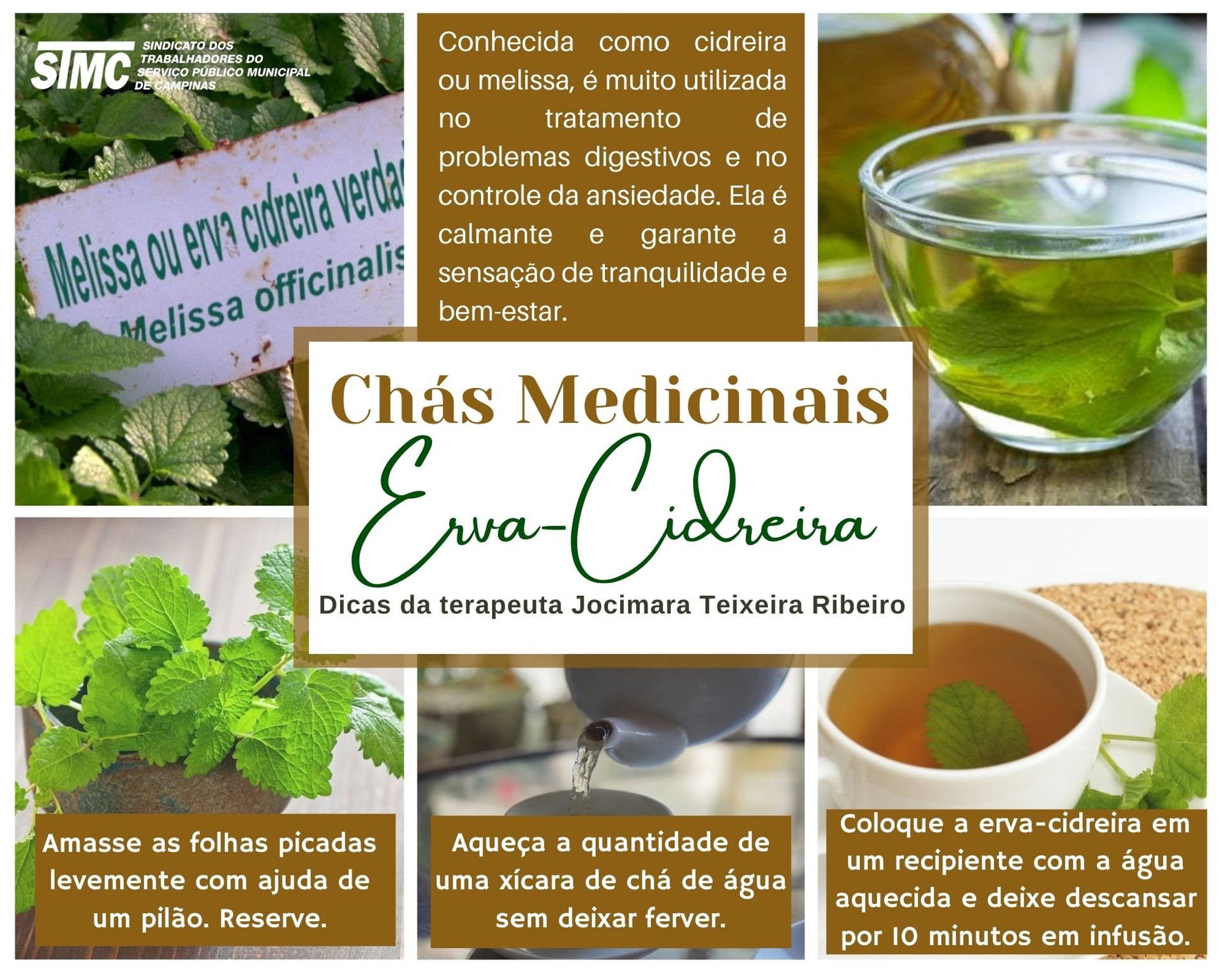 chá para dormir
