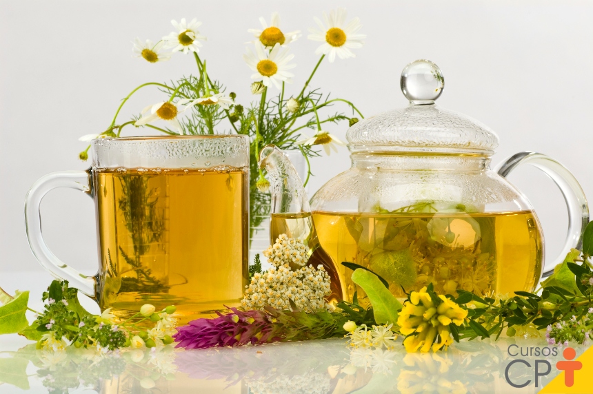 chás naturais para emagrecer