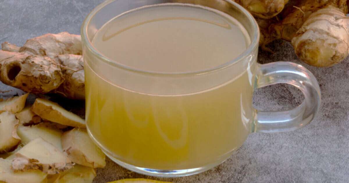chás naturais para emagrecer rápido